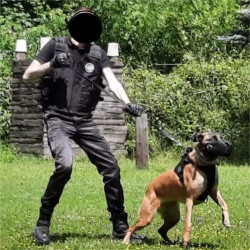 Maître-chien en Haute-Savoie